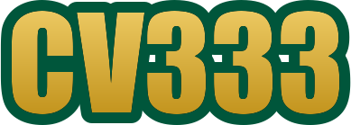 cv333